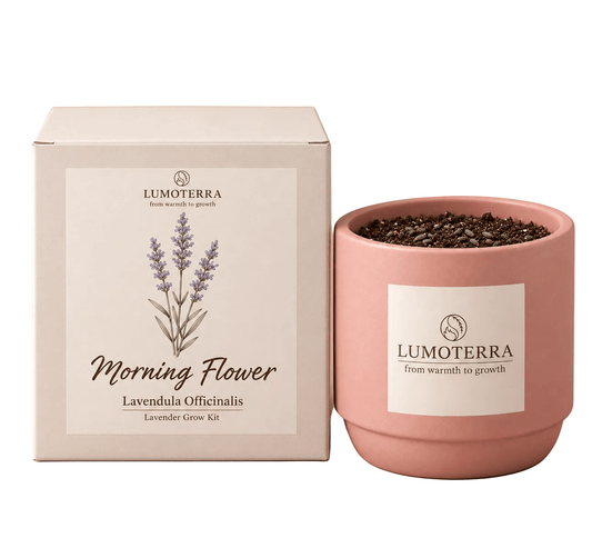 Morning Flower: lavendel kweekset in zalmroze pot van Lumoterra
