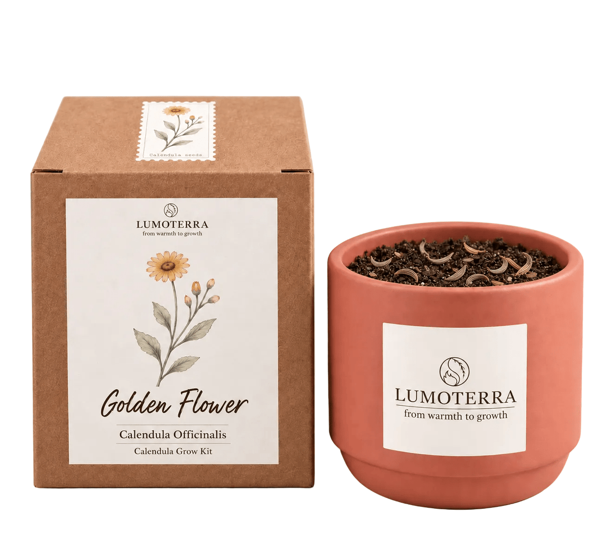 Golden Flower: calendula kweekset in terracotta pot van Lumoterra