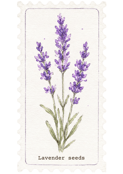Morning Flower | Handgemaakte lavendel kweeksetLumoterra