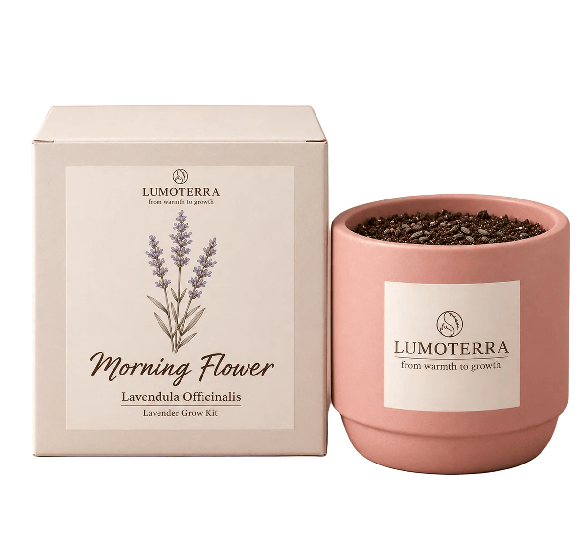 Morning Flower: lavendel kweekset in zalmroze pot van Lumoterra