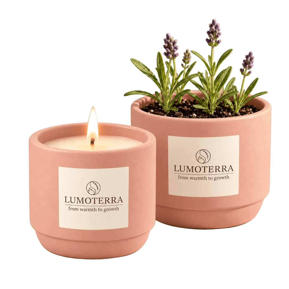 Morning Ritual: handgemaakte kaars en lavendel kweekset van Lumoterra